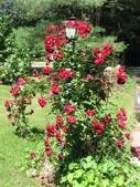 Enlarge photo 84