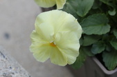 Enlarge photo 740