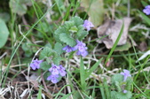 Enlarge photo 744