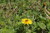 Enlarge photo 753