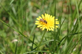 Enlarge photo 755
