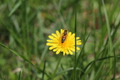 Enlarge photo 756