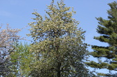 Enlarge photo 758