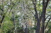 Enlarge photo 759