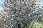Enlarge photo 760