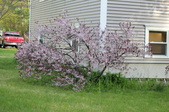 Enlarge photo 764