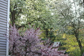 Enlarge photo 765
