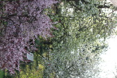 Enlarge photo 766