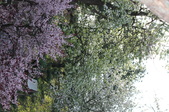 Enlarge photo 767