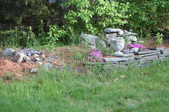 Enlarge photo 769