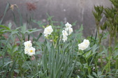 Enlarge photo 770
