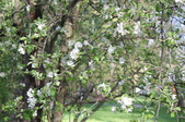 Enlarge photo 773