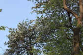 Enlarge photo 774