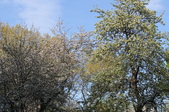 Enlarge photo 777