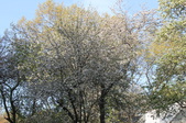 Enlarge photo 778
