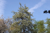 Enlarge photo 779