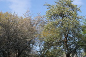 Enlarge photo 780