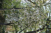Enlarge photo 781