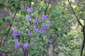 Enlarge photo 782