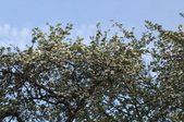 Enlarge photo 783