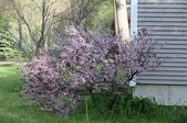 Enlarge photo 786