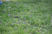 Enlarge photo 789