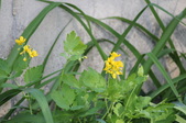 Enlarge photo 791