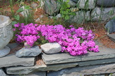 Enlarge photo 792