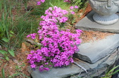 Enlarge photo 795