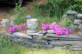 Enlarge photo 799