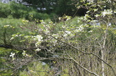 Enlarge photo 801