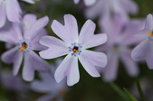 Enlarge photo 812