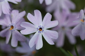 Enlarge photo 813