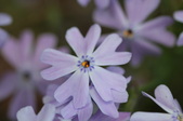 Enlarge photo 816