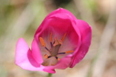 Enlarge photo 834