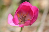 Enlarge photo 836