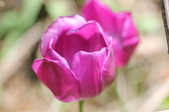 Enlarge photo 837