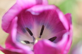 Enlarge photo 840