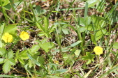 Enlarge photo 851