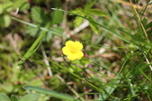 Enlarge photo 852