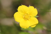 Enlarge photo 856