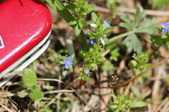 Enlarge photo 862