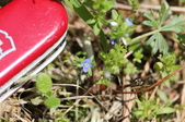 Enlarge photo 863