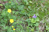 Enlarge photo 866