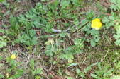 Enlarge photo 867