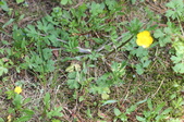 Enlarge photo 868