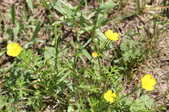 Enlarge photo 869