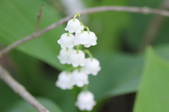 Enlarge photo 872
