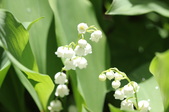 Enlarge photo 881