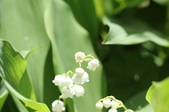 Enlarge photo 882